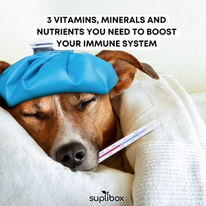 3 vitamins, minerals and nutrients you need to boost your immune system
