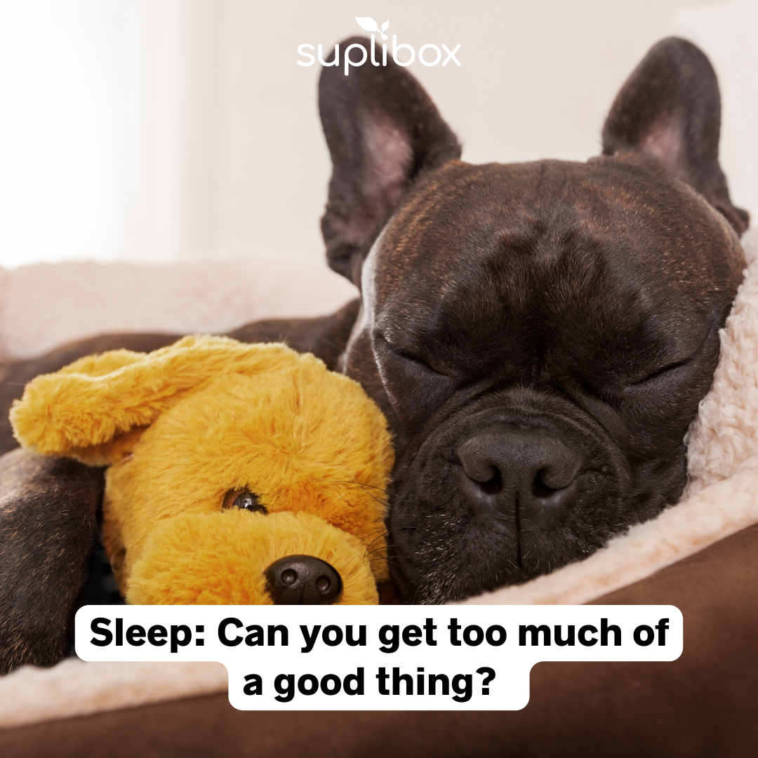 Sleep: Can you get too much of a good thing?